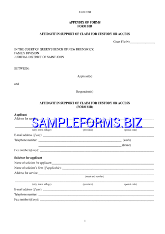 New Brunswick Affidavit in Support of Claim for Custody or Access Form pdf free